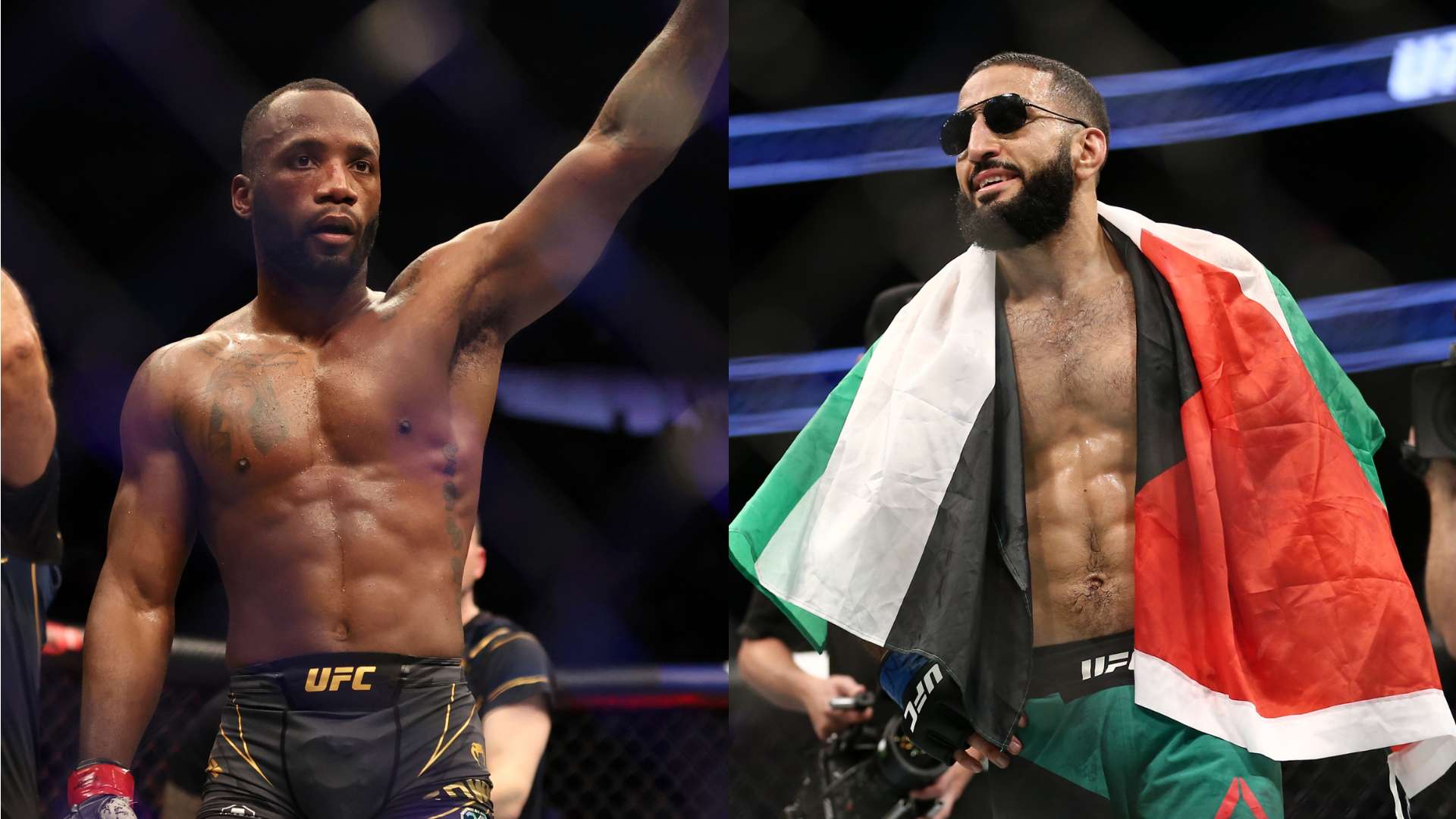 不僅展示了 不僅展示了