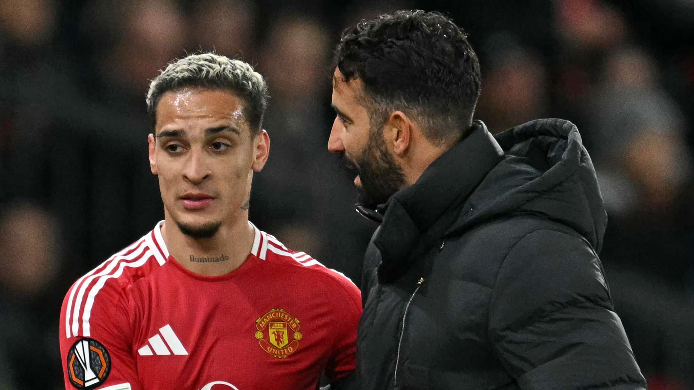 由此培養了 由此培養了