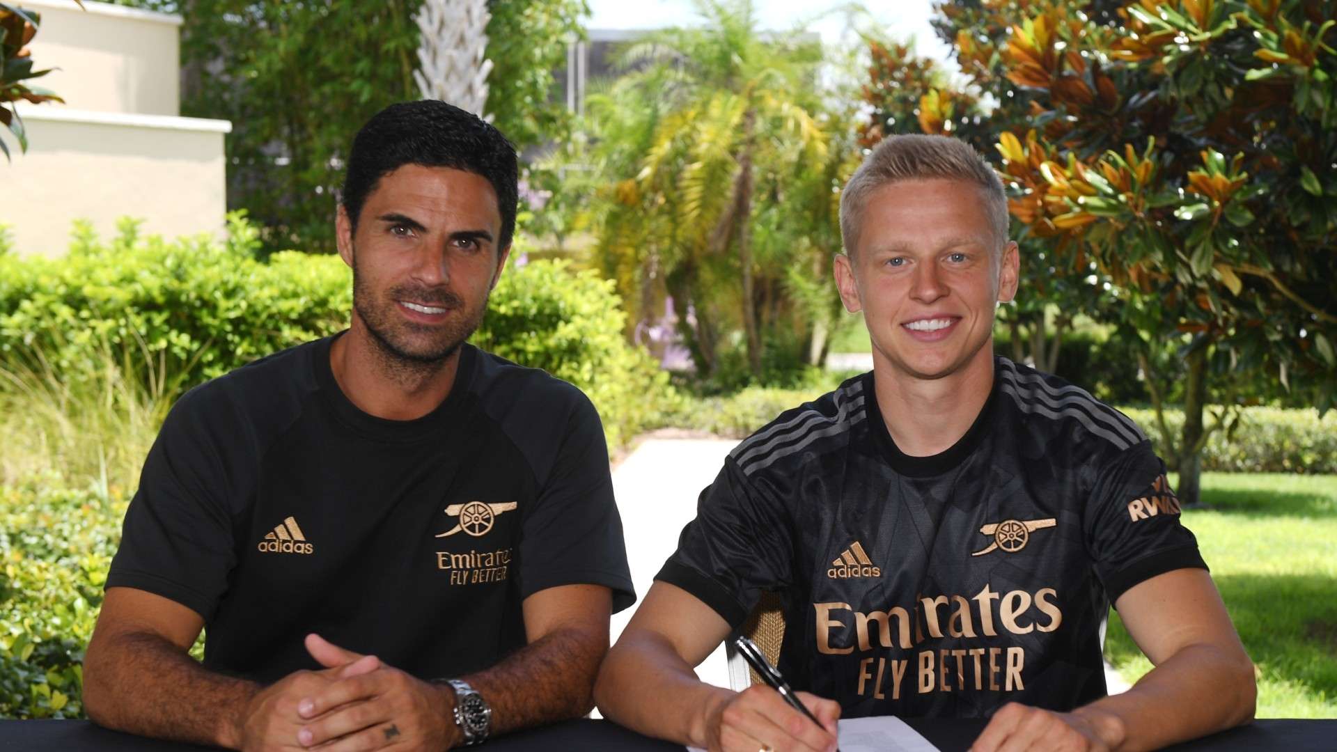 维拉的股票 维拉的股票